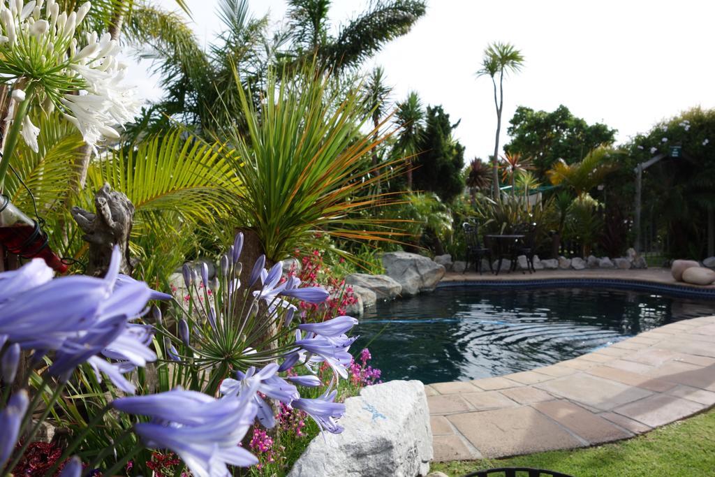 Villachad Guesthouse Kleinmond ภายนอก รูปภาพ